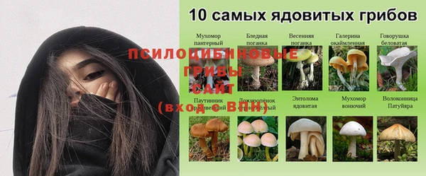 винт Баксан